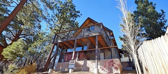 The Bunk House by Destination Big Bear : Slope Views!Propane BBQ! Internet! Gas Fireplace!