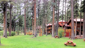 A rustic lodge surrounded by tall pine trees, with picnic tables and a wooden deck. - River Tranquility managed by Cabin Butler (Greer)