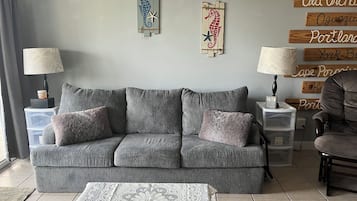 TV, DVD player, video library