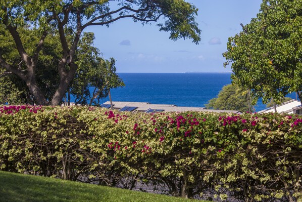 Une vue sur la côte, avec un jardin, des arbres et une mer bleue et limpide.