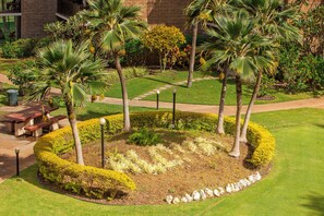 A landscaped garden with palm trees, a circular hedge, and a stone pathway.