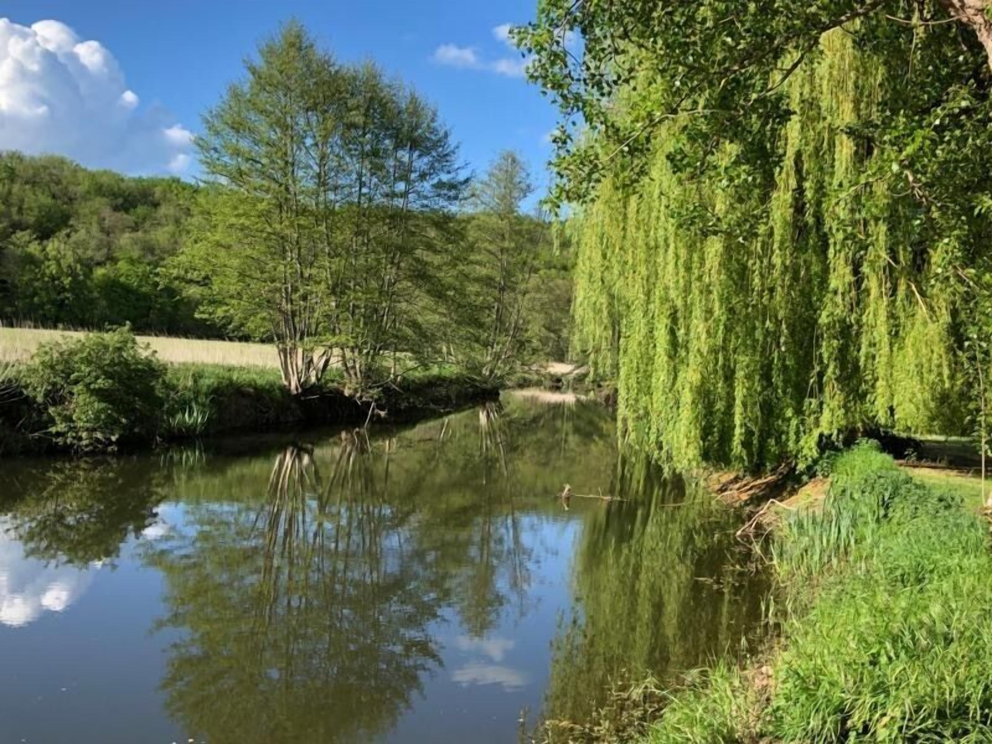 A calm river with trees and greenery on both sides.