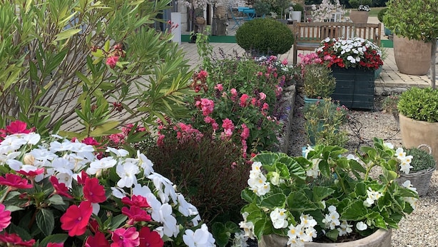 Un edificio de piedra con una torre, rodeado de un jardín con diversas plantas en flor.