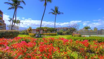 Área da propriedade