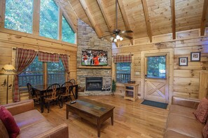 TV, fireplace, video games, DVD player