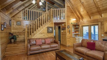 TV, fireplace, video games, DVD player