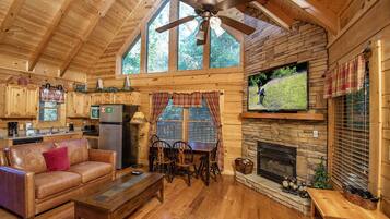 TV, fireplace, video games, DVD player