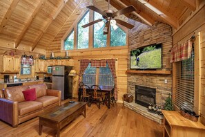 TV, fireplace, video games, DVD player