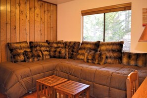 TV, fireplace, video games, DVD player