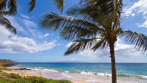A beach with palm trees, ocean waves, and a clear sky.