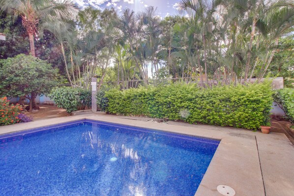 A swimming pool surrounded by lush greenery and palm trees.