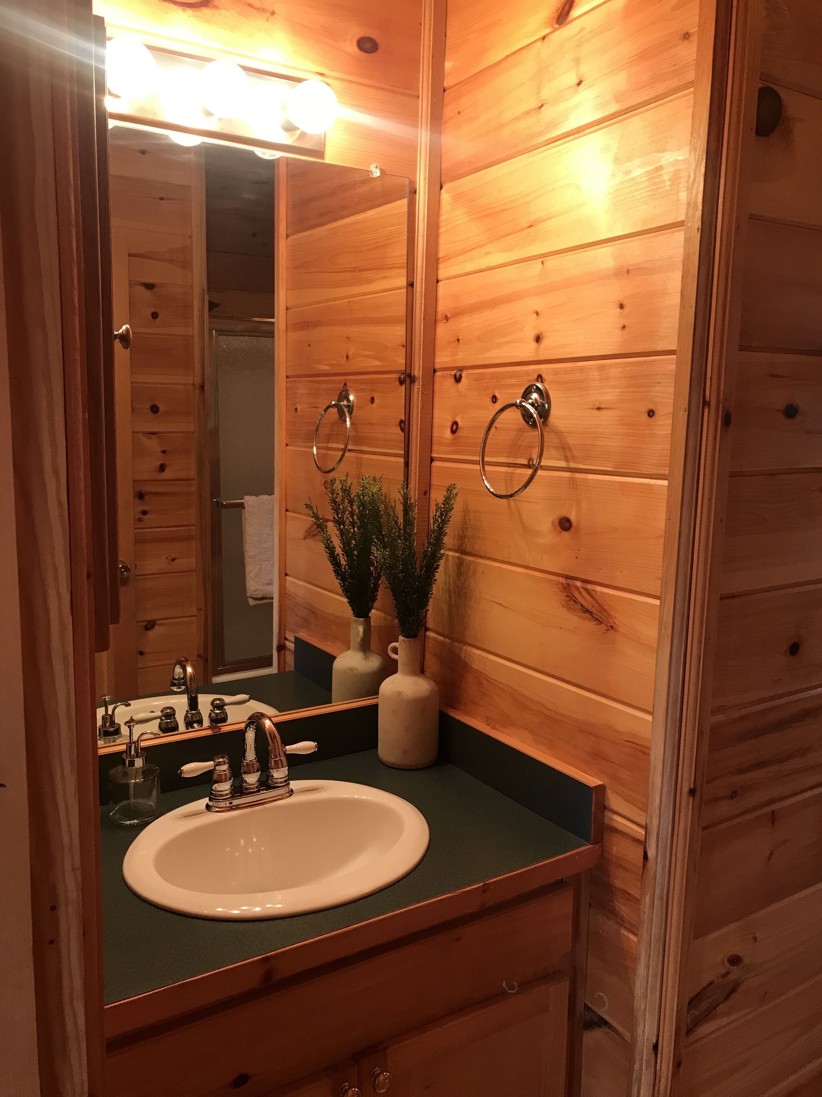 Ein Badezimmer mit Holzvertäfelung, einem Waschbecken, einem Spiegel und zwei Vasen mit Pflanzen.