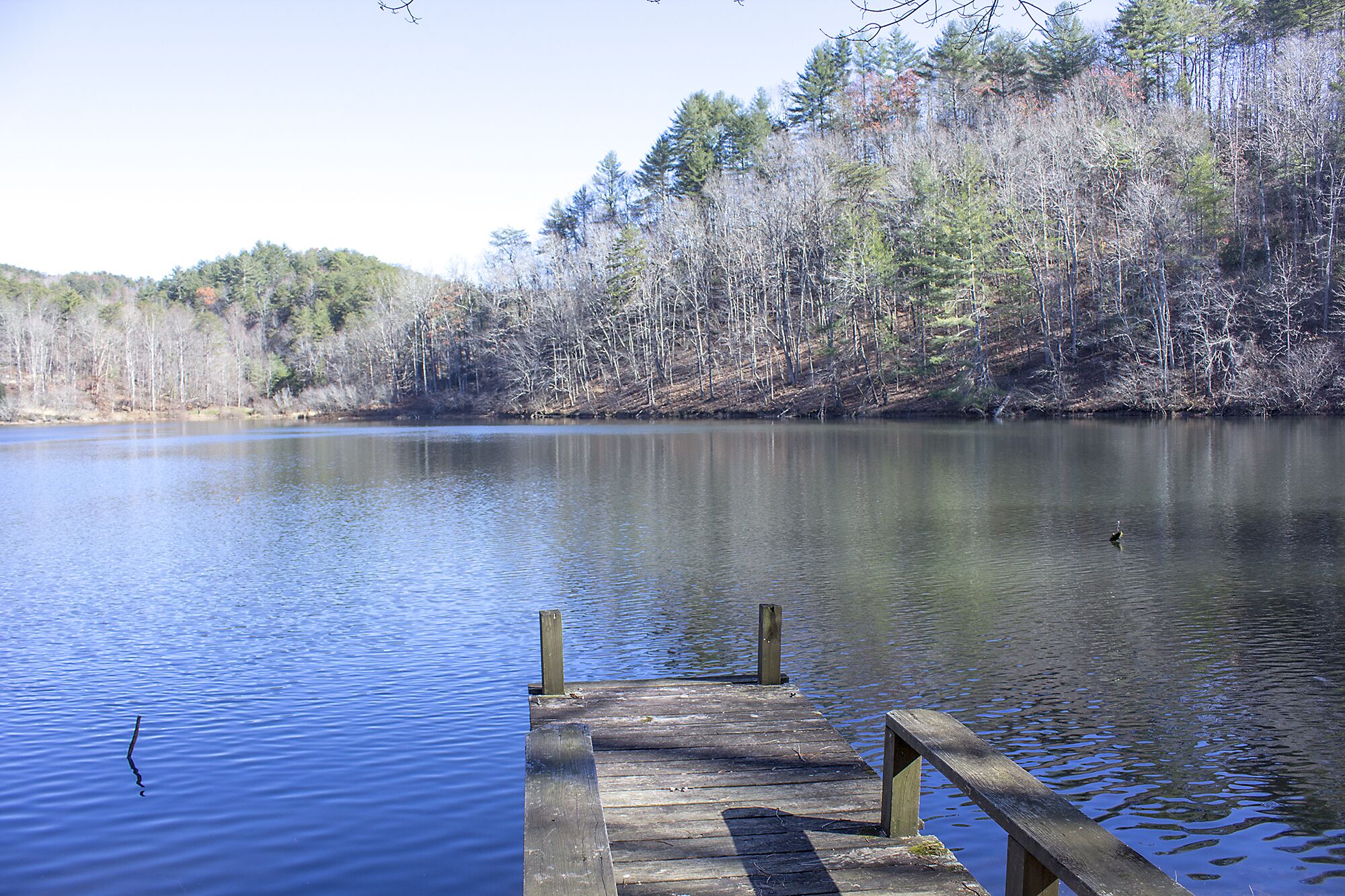 A wooden dock extending into calm water with a forested shoreline in the background.