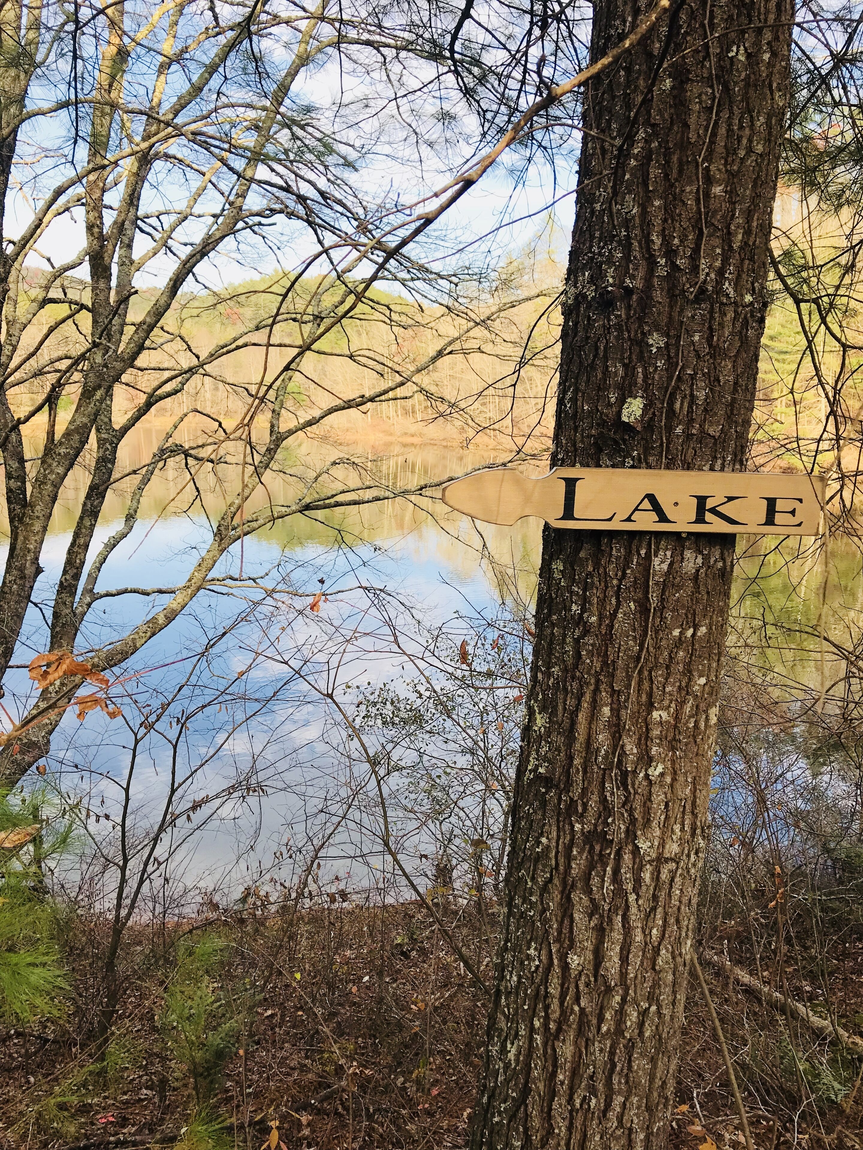 A wooden sign on a tree with the word 'LAKE' indicating the direction to a body of water.