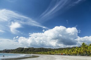 A beach with a curved shoreline, palm trees, and a clear sky.