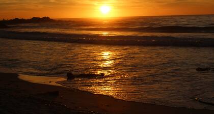 Charming Carmel House - Short Walk To 2 Beaches