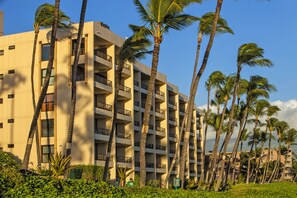 Surrounded by lush greenery, this hotel offers stunning views from its balconies on every floor.