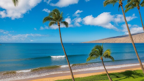 Una playa con palmeras, cielo azul despejado y mar tranquilo.