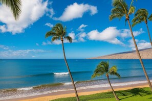 A beach with palm trees, clear blue sky, and calm sea.