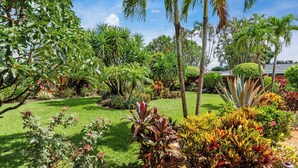 A lush garden with various tropical plants and a well-maintained lawn.