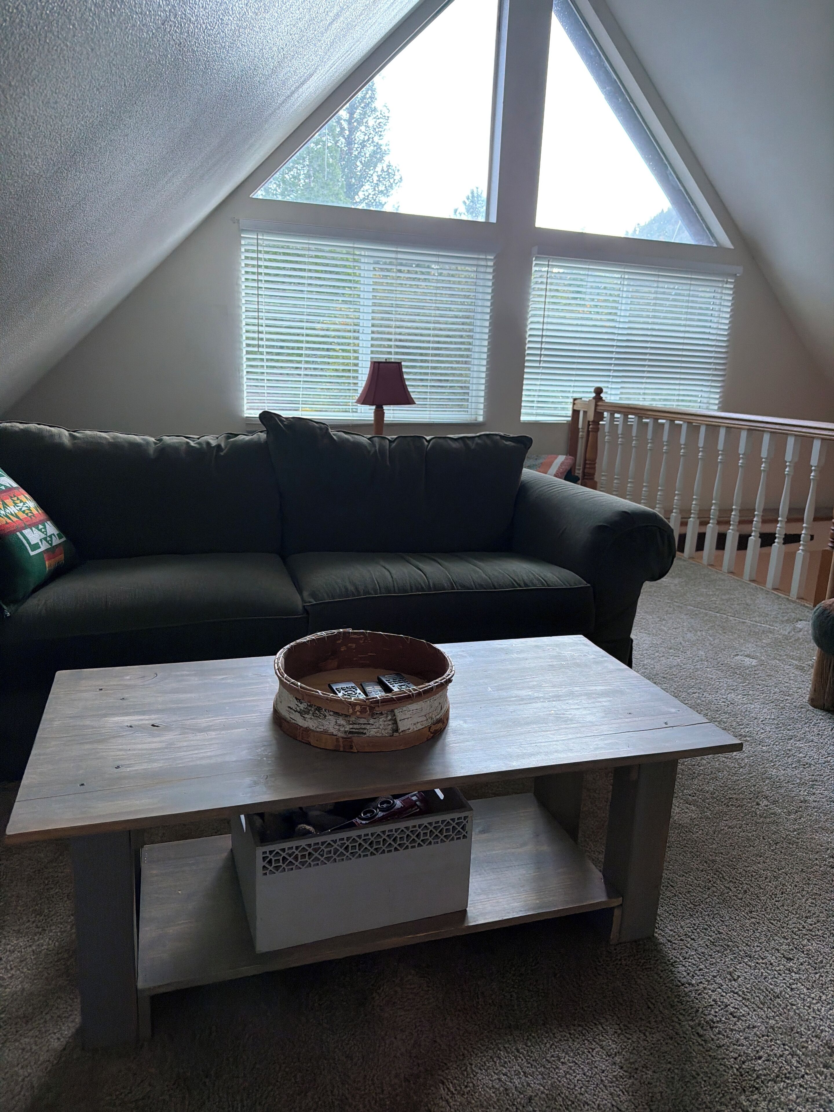 Televisión, chimenea, reproductor de DVD y libros 