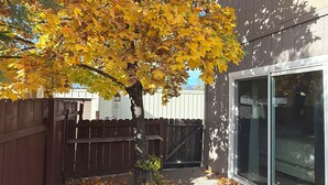 Un sendero bordeado de árboles, una valla de madera y un edificio con puerta de vidrio.