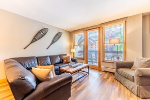 Tv, pejs, dvd-afspiller