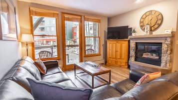 Télévision, cheminée, lecteur de DVD