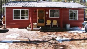 A small, red wooden cabin with two windows and a door, surrounded by trees. - Honeymoon Cozy Forest Cabin (Greer)