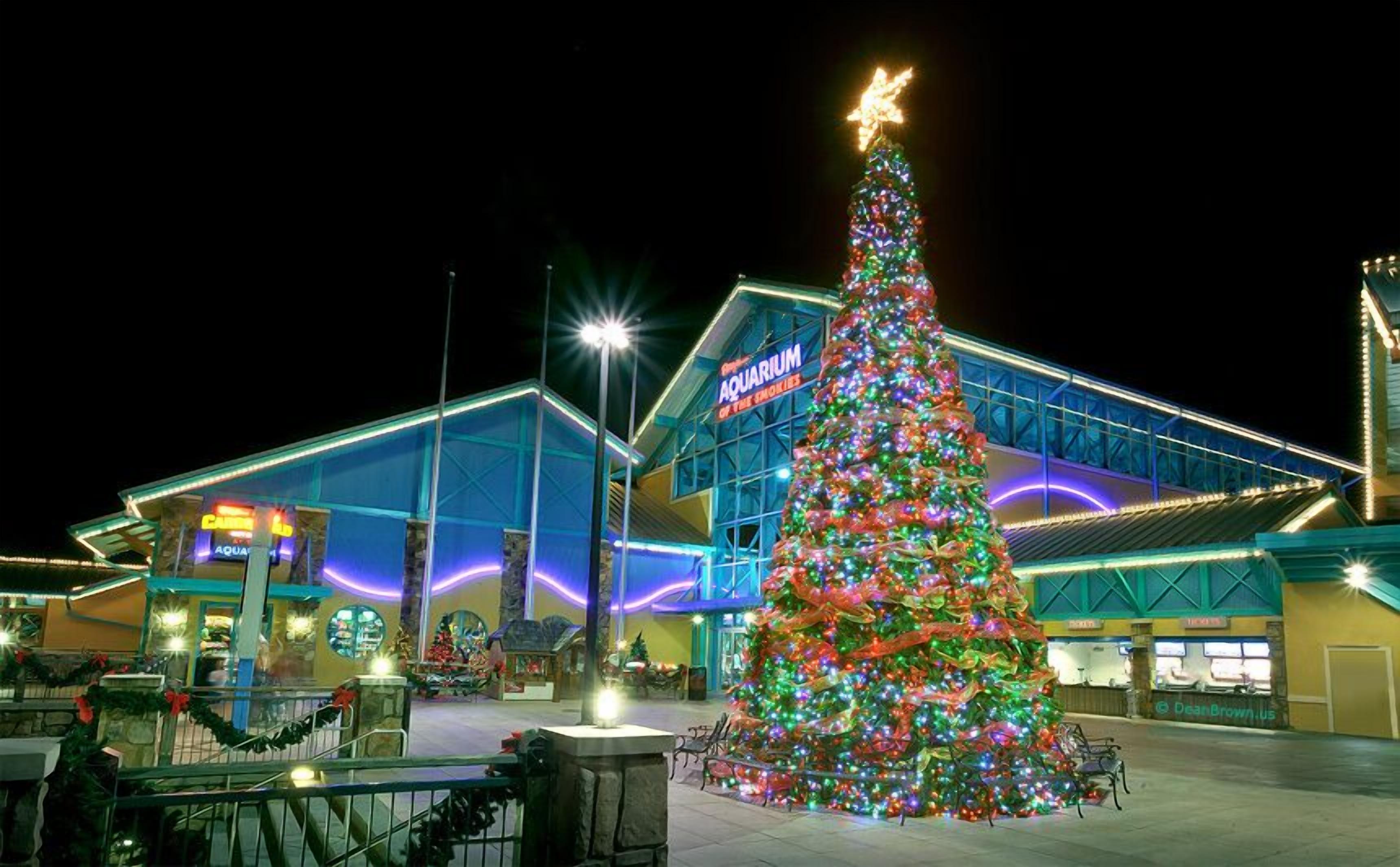 A large, decorated Christmas tree in front of a building with a sign reading "Aquarium of the Snookies."