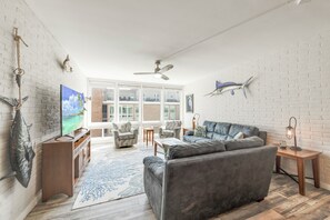 تلفزيون، مشغل دي في دي