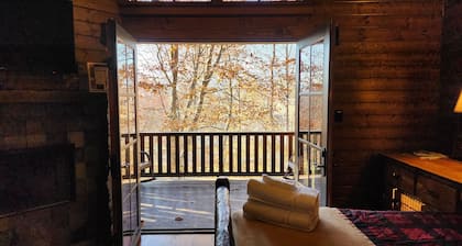 Blue Jay’s Perch | Cabin w/ Loft + Jetted Tub + Biltmore Pass