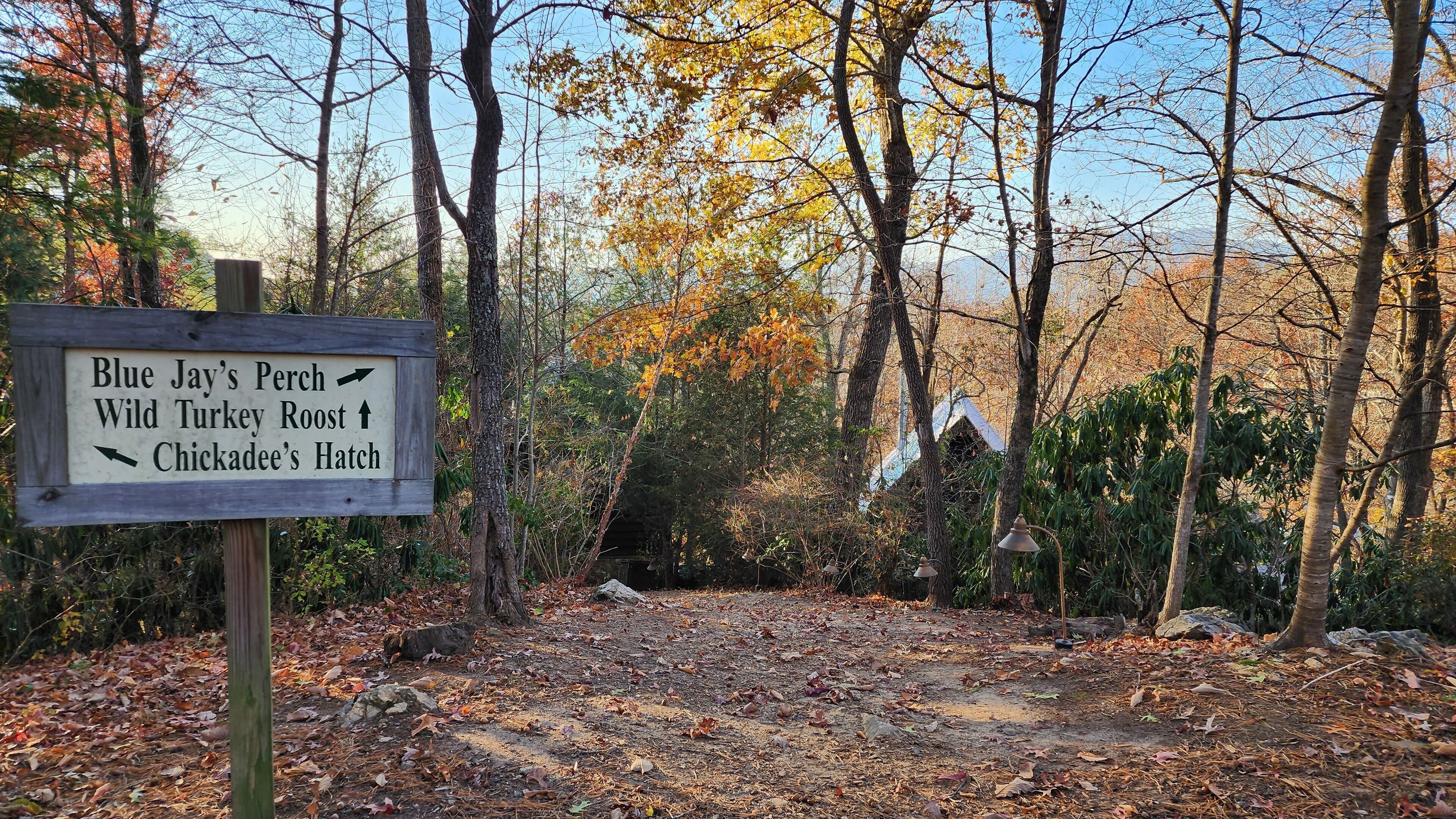 A signpost in a wooded area with directions to Blue Jay's Perch, Wild Turkey Roost, and Chickadee's Hatch.