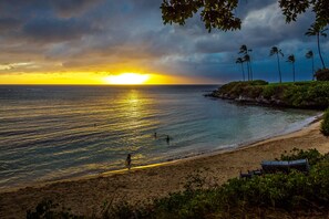 A beach with a sunset, calm sea, and palm trees.
