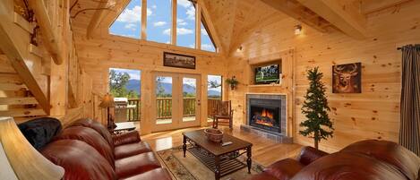 Smart TV, fireplace, video games, DVD player