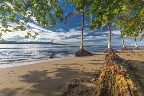 Casa Ylang 3BR Tropical Chalet