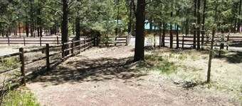 With2Beez Rustic Forest Cabin