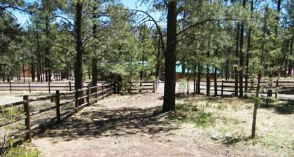 With2Beez Rustic Forest Cabin