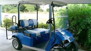 En blå golfbil med ett tak, en ratt och ett säte.