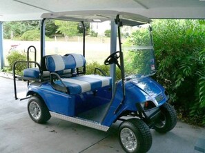 Ein blauer Golfwagen mit Verdeck, Lenkrad und Sitz.