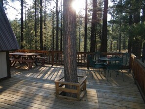Outdoor dining - Hibernation Hideaway Rustic Cabin In The Forest (Greer)