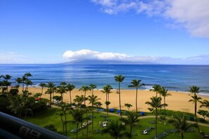 A beach view with palm trees, a clear sky, and a distant mountain.