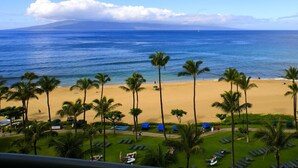 A beach with palm trees, a clear sky, and a view of the ocean.