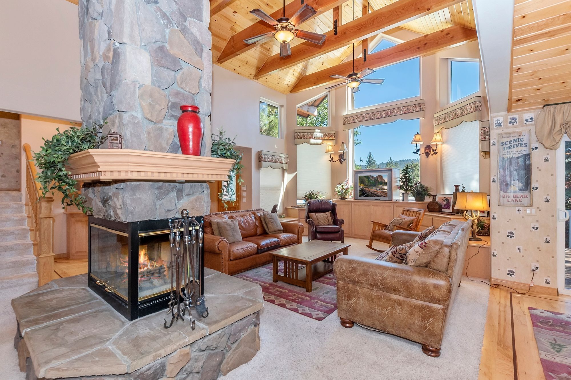 Televisión, chimenea, reproductor de DVD