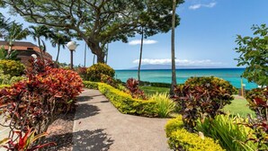 Un sendero bordeado de plantas coloridas que lleva a una playa con aguas azul cristalino y una montaña al fondo.