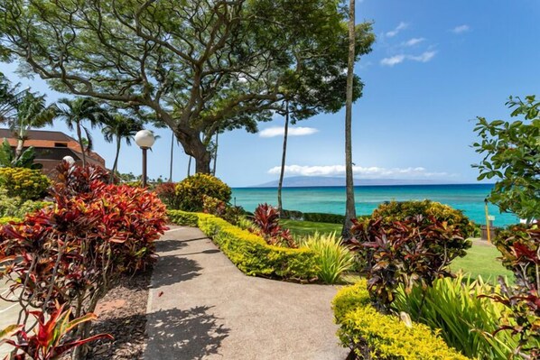 Terrain de l’hébergement 