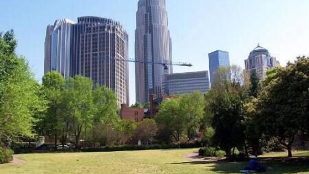 A park with a grassy area and trees, surrounded by tall buildings.