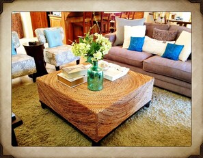 Smart TV, fireplace, DVD player, video library