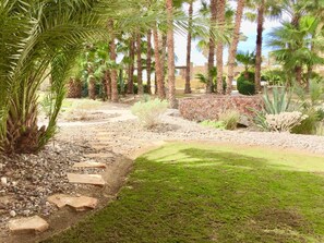 A landscaped garden with palm trees, a stone pathway, and a variety of plants.