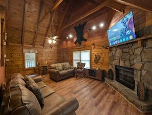 TV, fireplace, DVD player